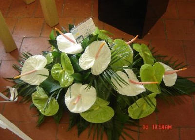 Anthurium Spray