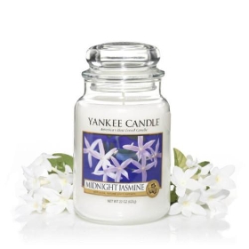 Midnight Jasmine Range