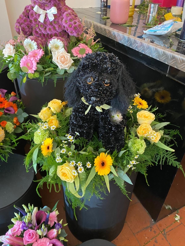 3D Black Dog on a Bed of Flowers