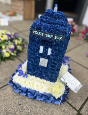 3D Tardis