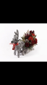 Reindeer and Sleigh arrangement