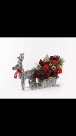 Reindeer and Sleigh arrangement