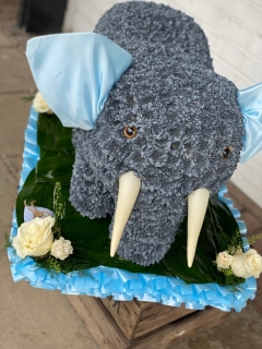 3D Elephant