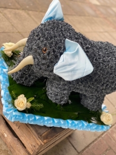 3D Elephant