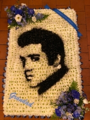 Elvis