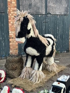 5ft Shire Horse